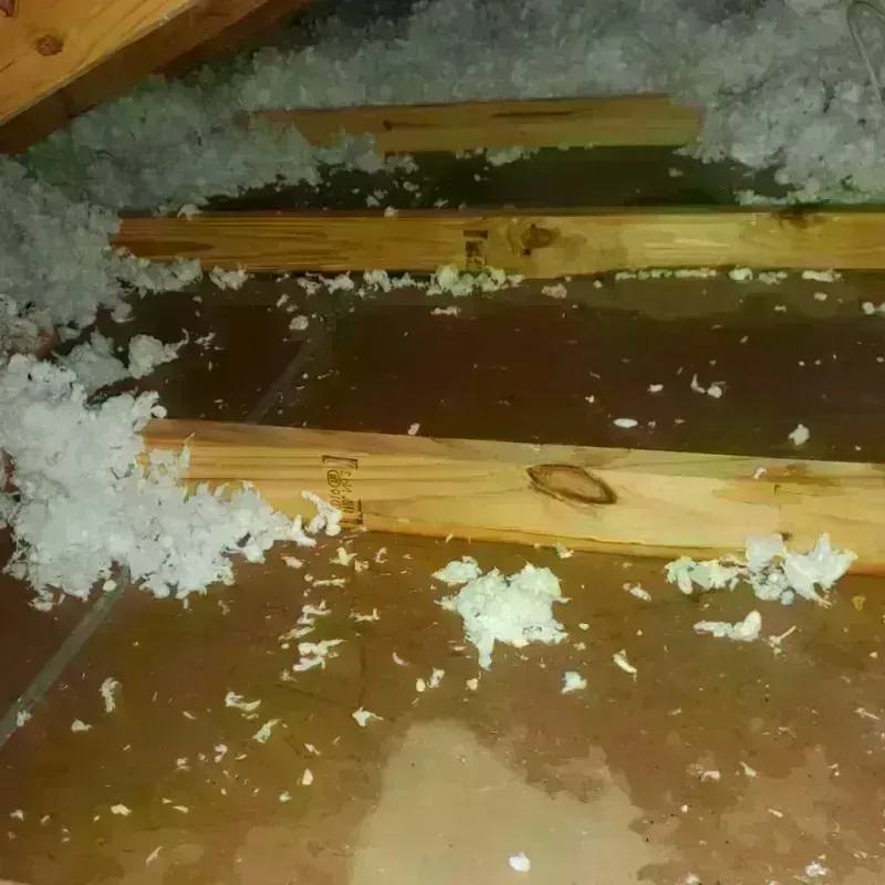 Attic Water Damage in Wasilla, AK