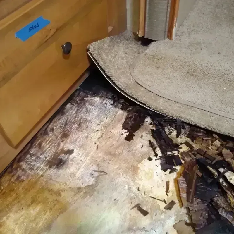 Wood Floor Water Damage in Wasilla, AK